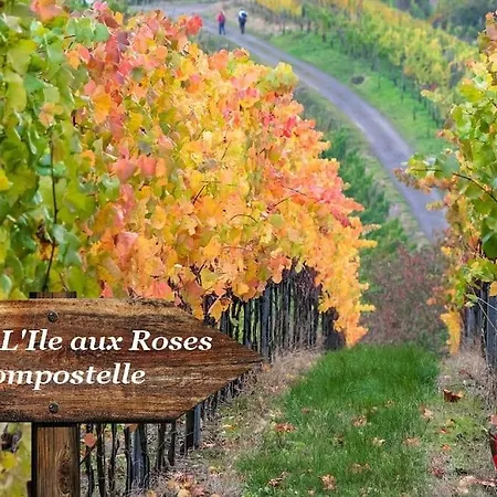 Art Lumineux Evasion Serenite En Anjou Doué-la-Fontaine